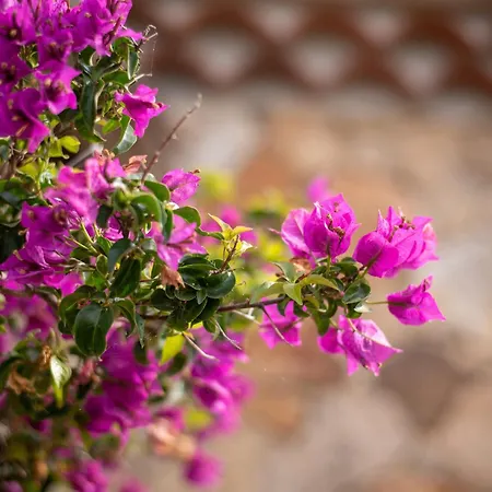 Apartment Villaggio Perlacea - Your House In Sardinia *